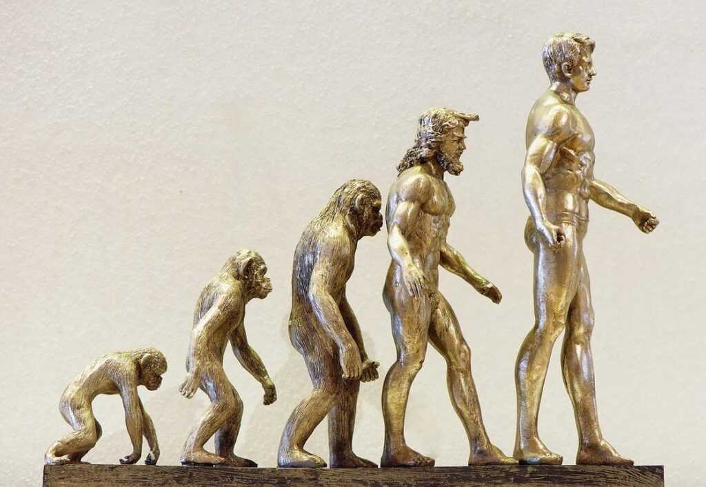 Multiplayer Evolution